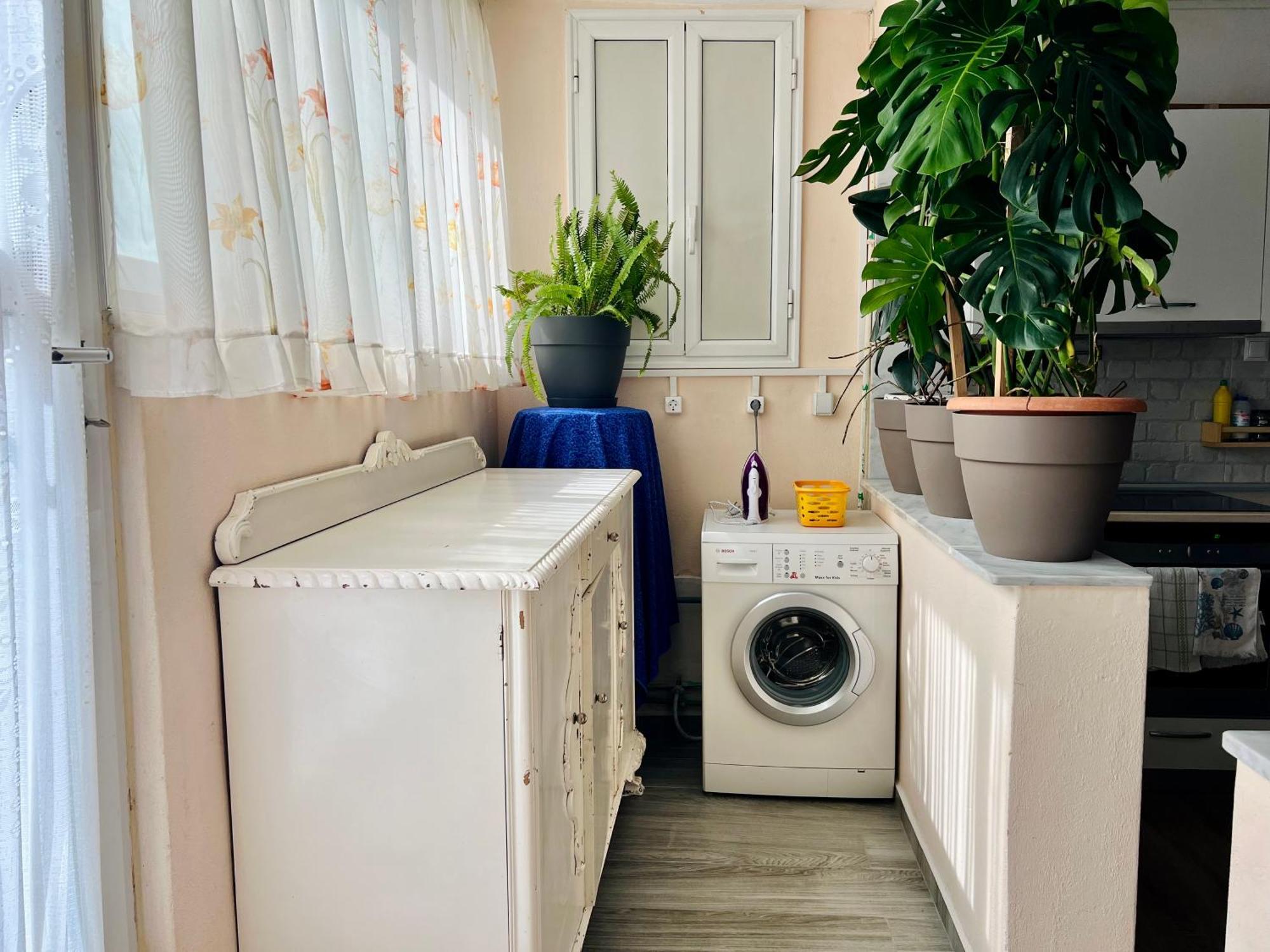 Apartment Mone