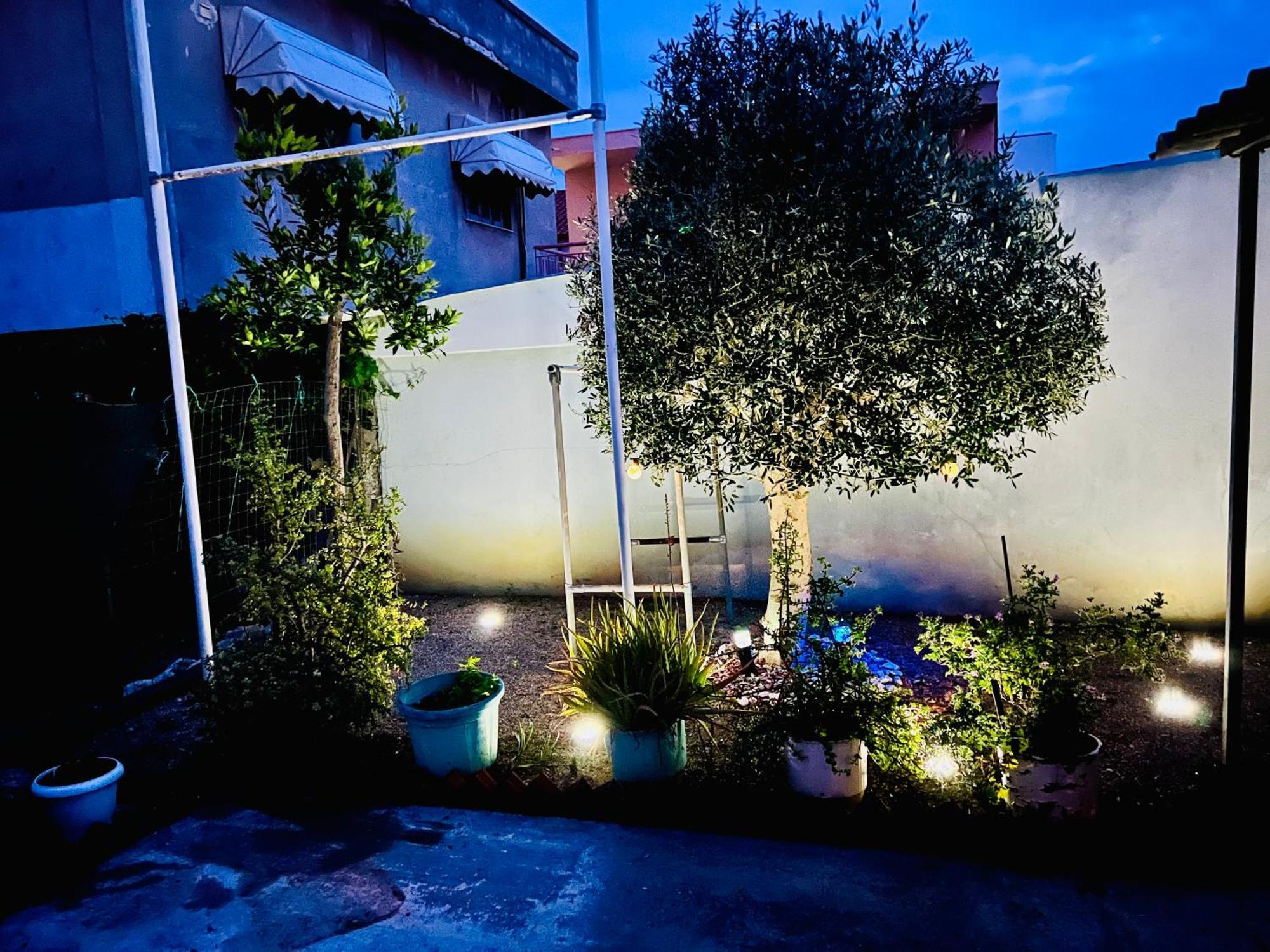 Apartment Mone
